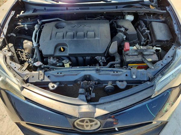 2019 TOYOTA COROLLA L/LE/SE/XLE/XSE