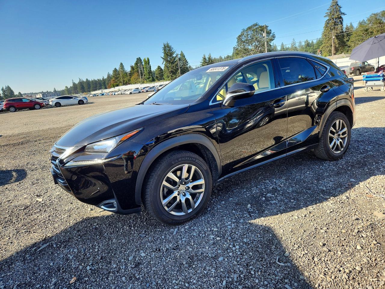 2015 LEXUS NX 200t Luxury
