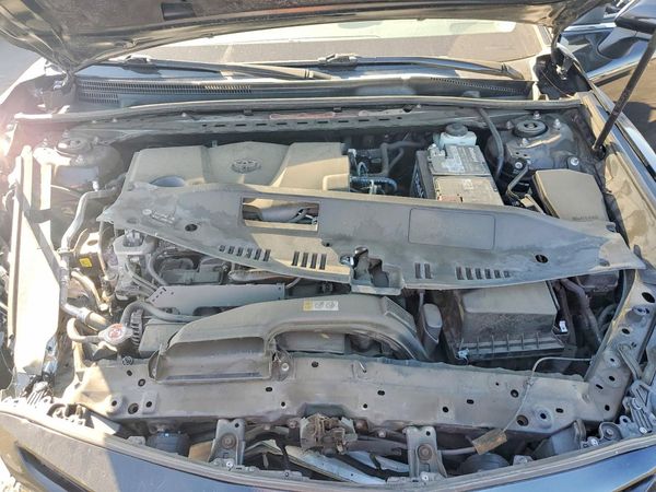 2019 TOYOTA CAMRY L/LE/SE/XLE