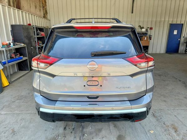 2025 NISSAN ROGUE PLATINUM — DIRR