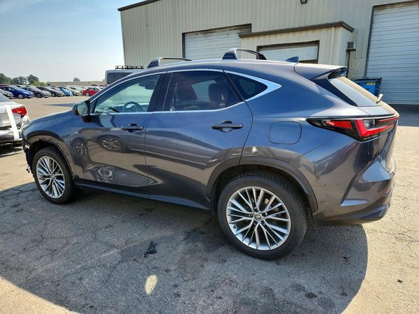 2022 LEXUS NX