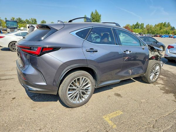 2022 LEXUS NX
