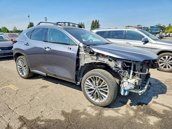 2022 LEXUS NX