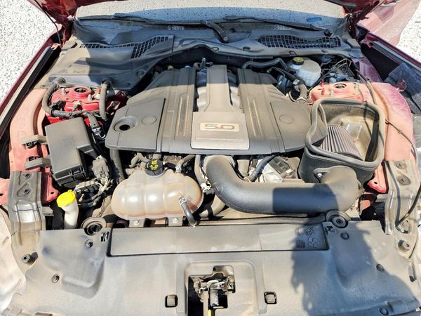 2019 FORD MUSTANG
