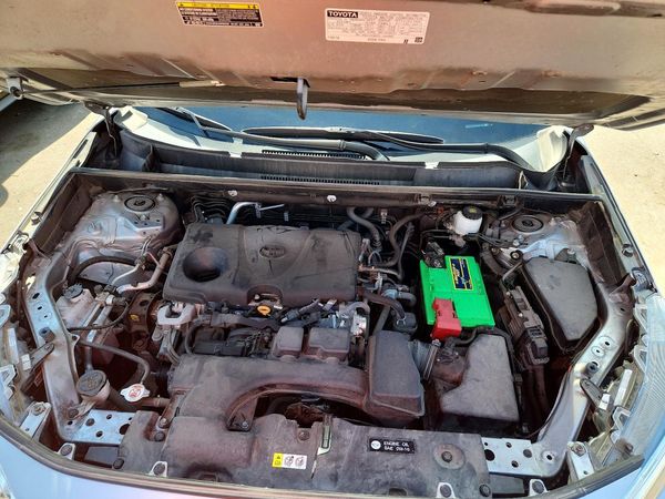 2023 TOYOTA RAV4 LE