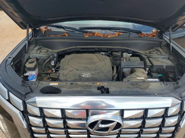 2023 HYUNDAI PALISADE Caligraphy