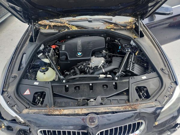 2015 BMW 5 SERIES — Engine bay