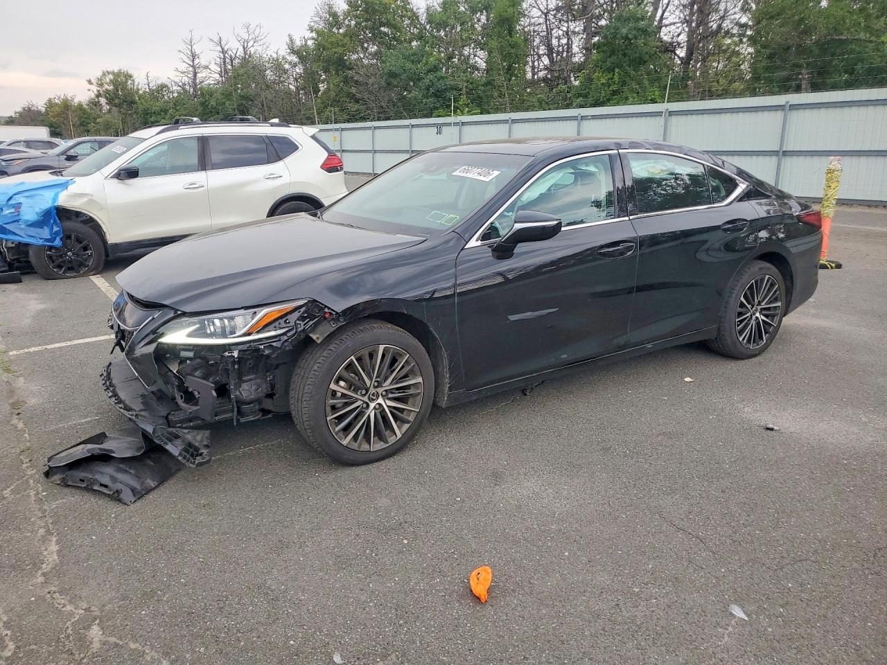 2024 LEXUS ES 250