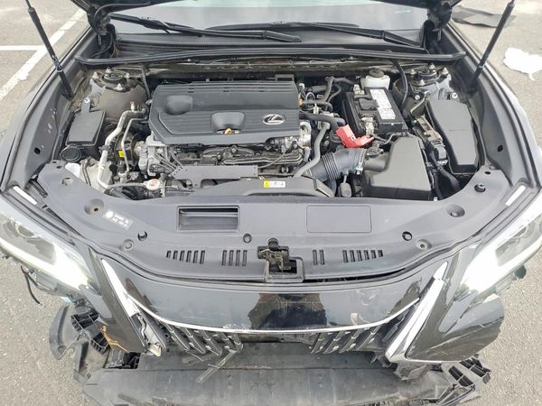 2024 LEXUS ES 250