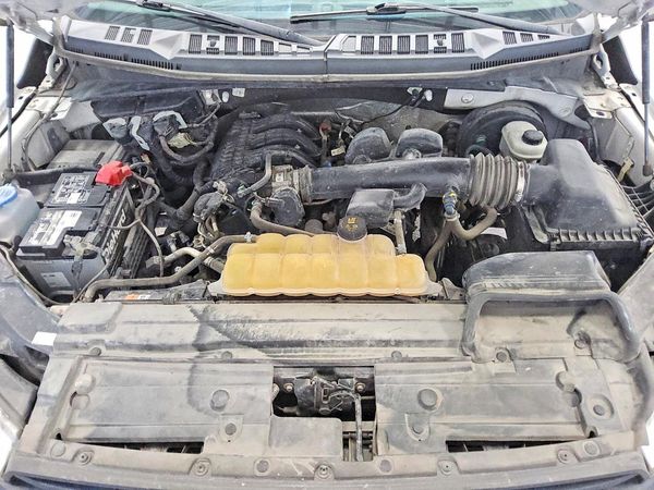 2019 FORD F150