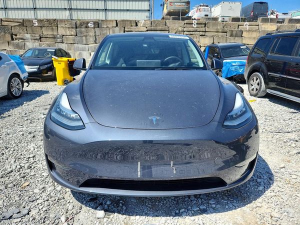 2023 TESLA MODEL Y — DIRF
