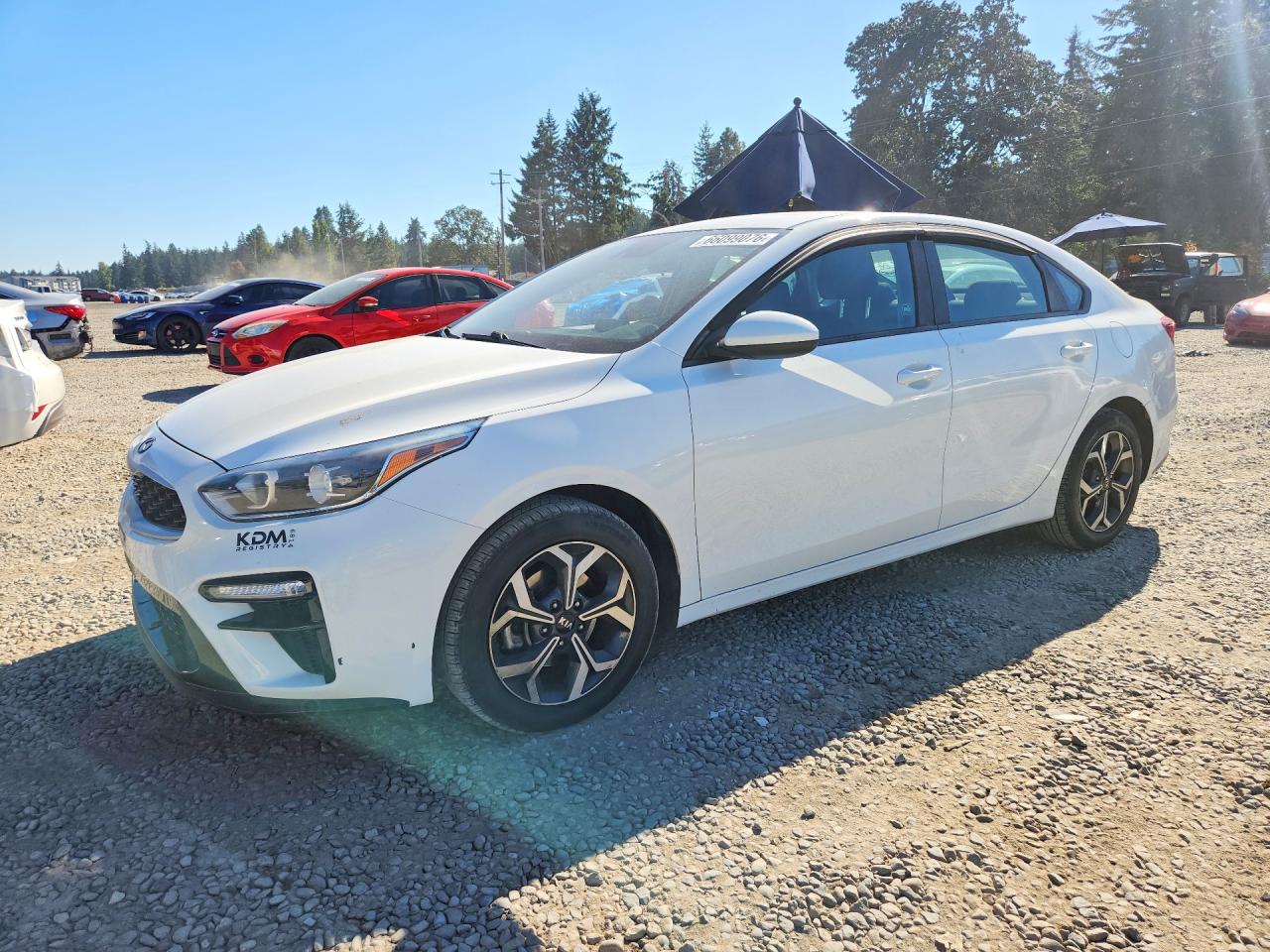 2019 KIA FORTE