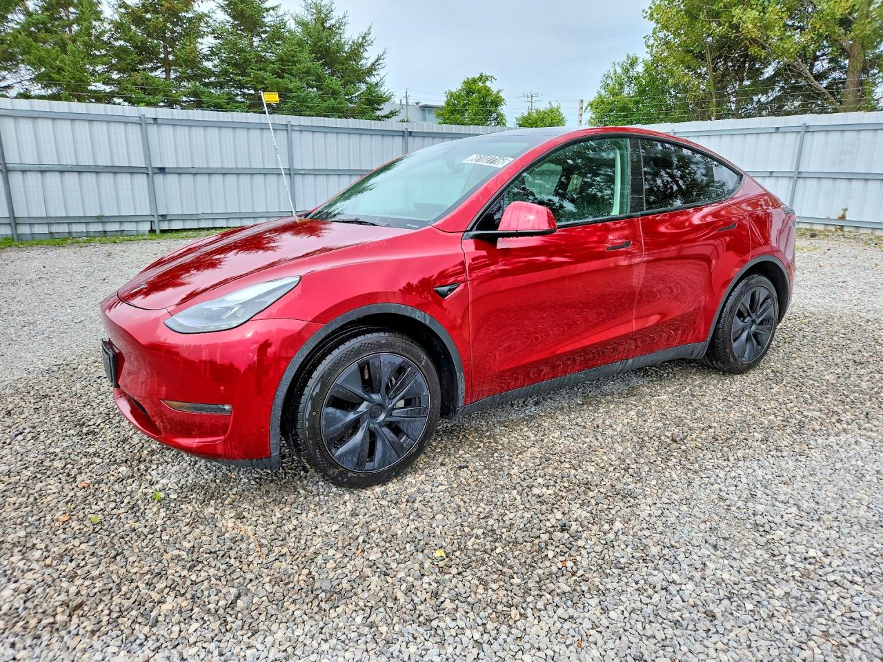 2025 TESLA MODEL Y