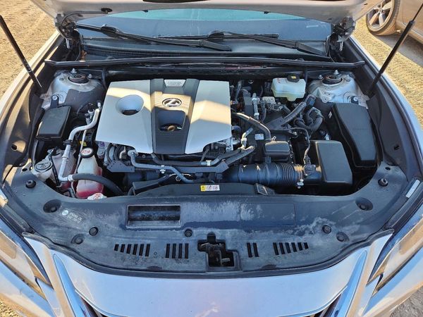 2020 LEXUS ES 300h Premium