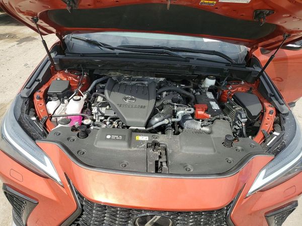 2024 LEXUS NX 350