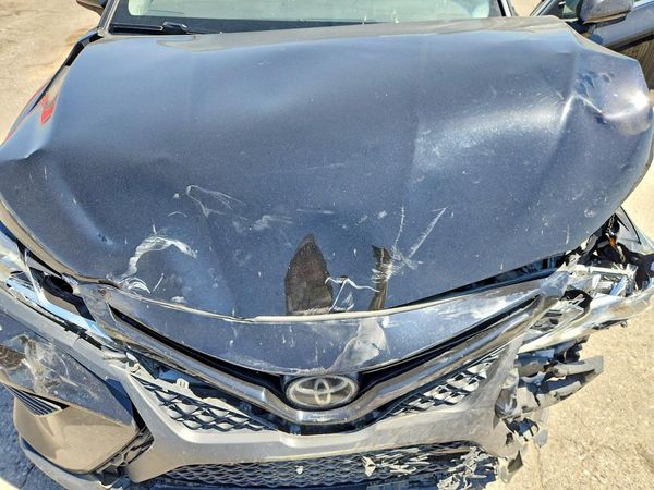 2019 TOYOTA CAMRY L/LE/SE/XLE