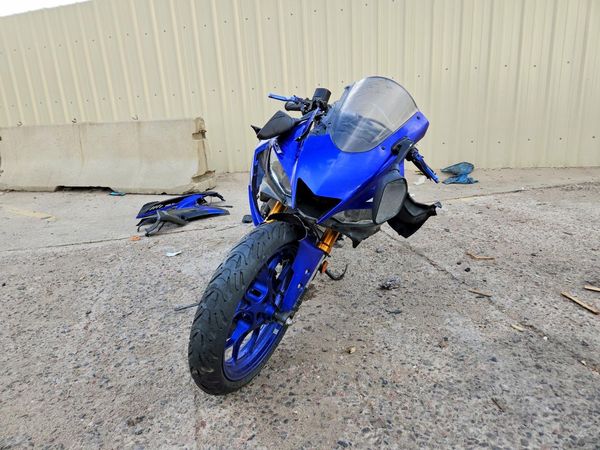 2019 YAMAHA YZF600