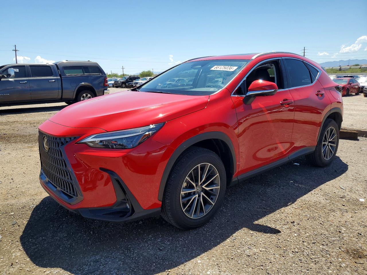 2024 LEXUS NX 350 Premium