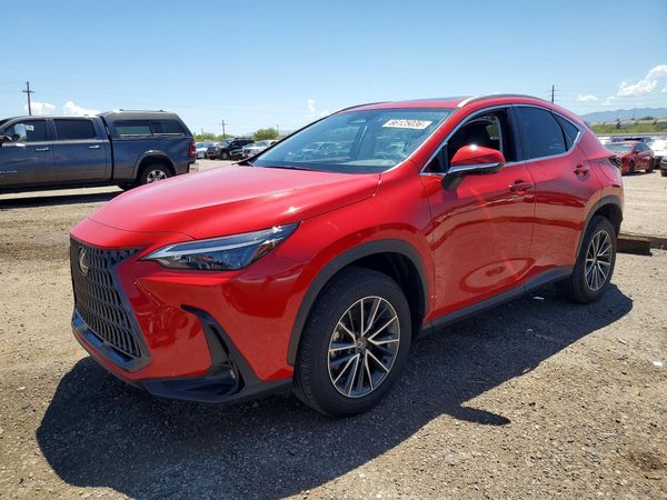 2024 LEXUS NX