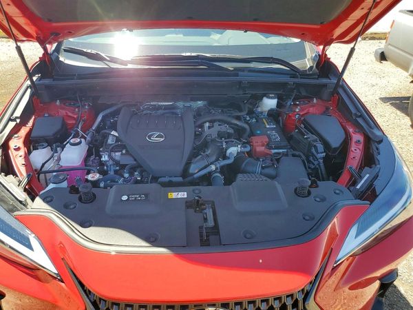 2024 LEXUS NX 350 Premium