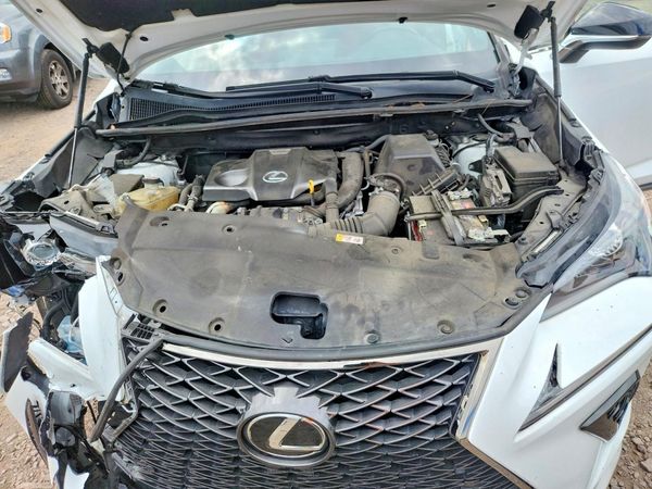 2019 LEXUS NX 300