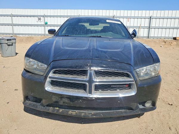 2013 DODGE CHARGER SE — DIRF