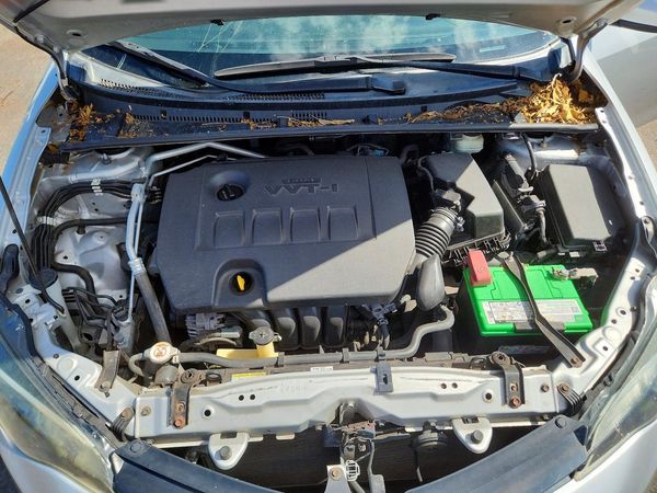 2019 TOYOTA COROLLA L/LE/SE/XLE/XSE — Engine bay