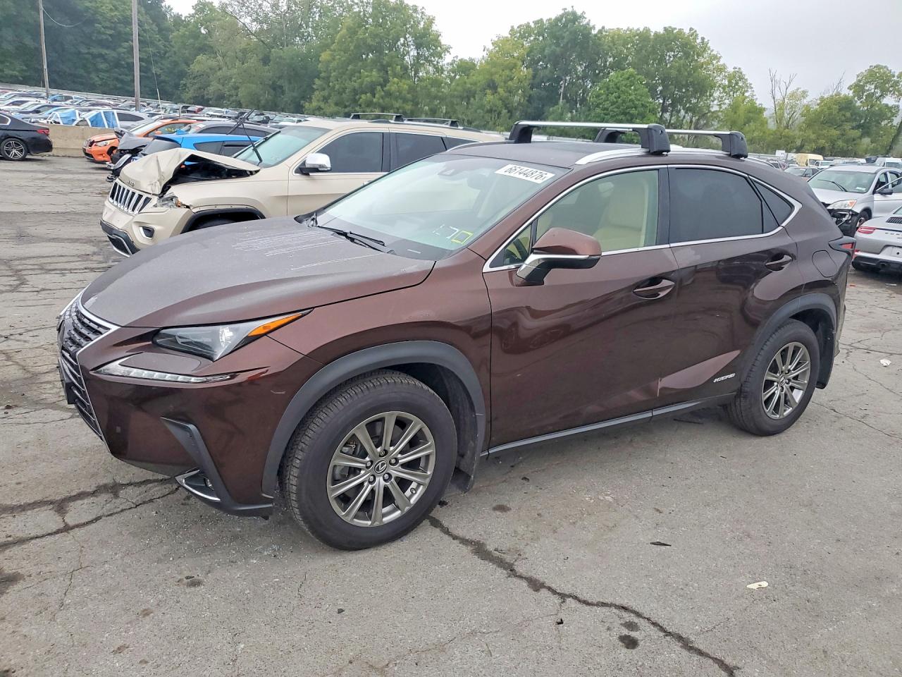 2019 LEXUS NX