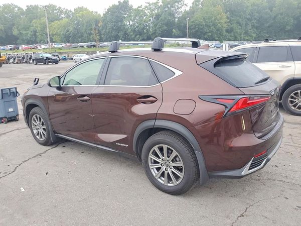 2019 LEXUS NX