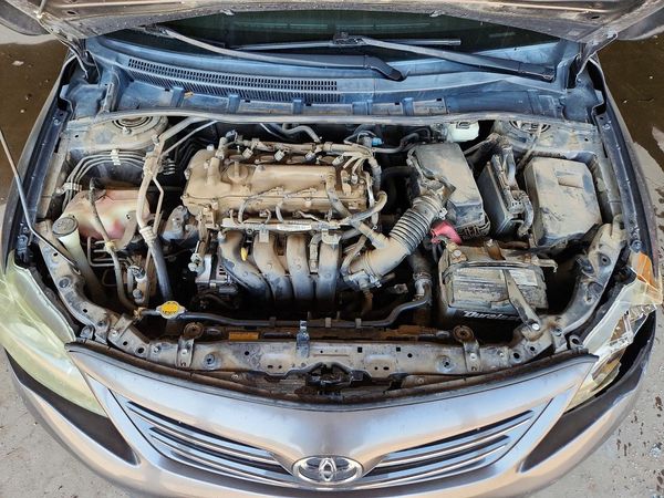 2013 TOYOTA COROLLA