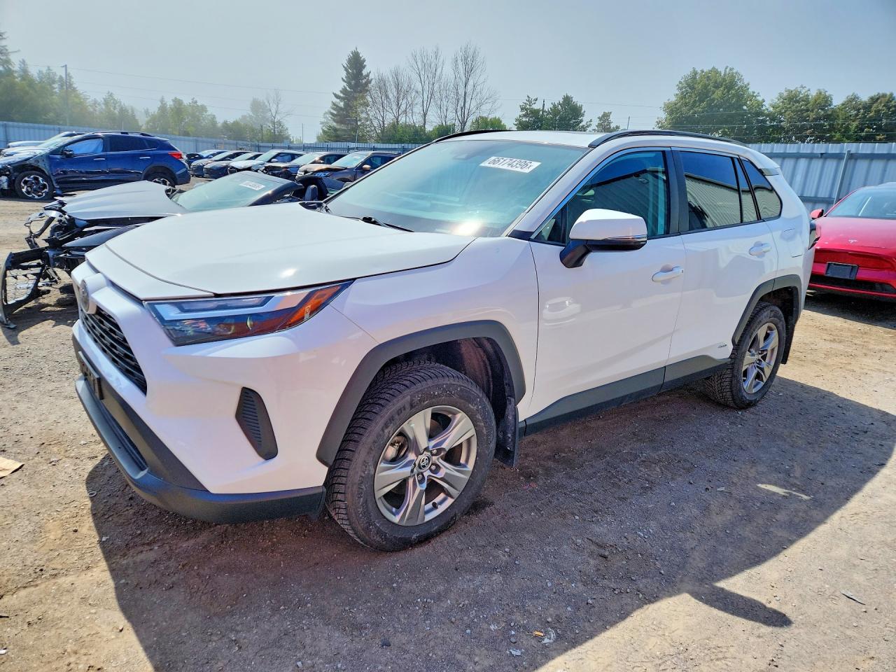 2023 TOYOTA RAV4 XLE — Front 3/4
