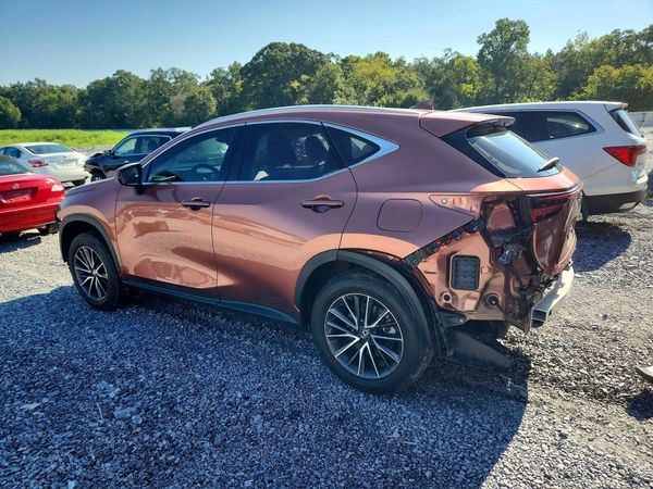 2025 LEXUS NX 350 Premium
