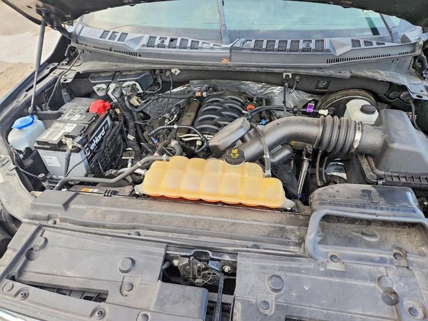 2019 FORD F150