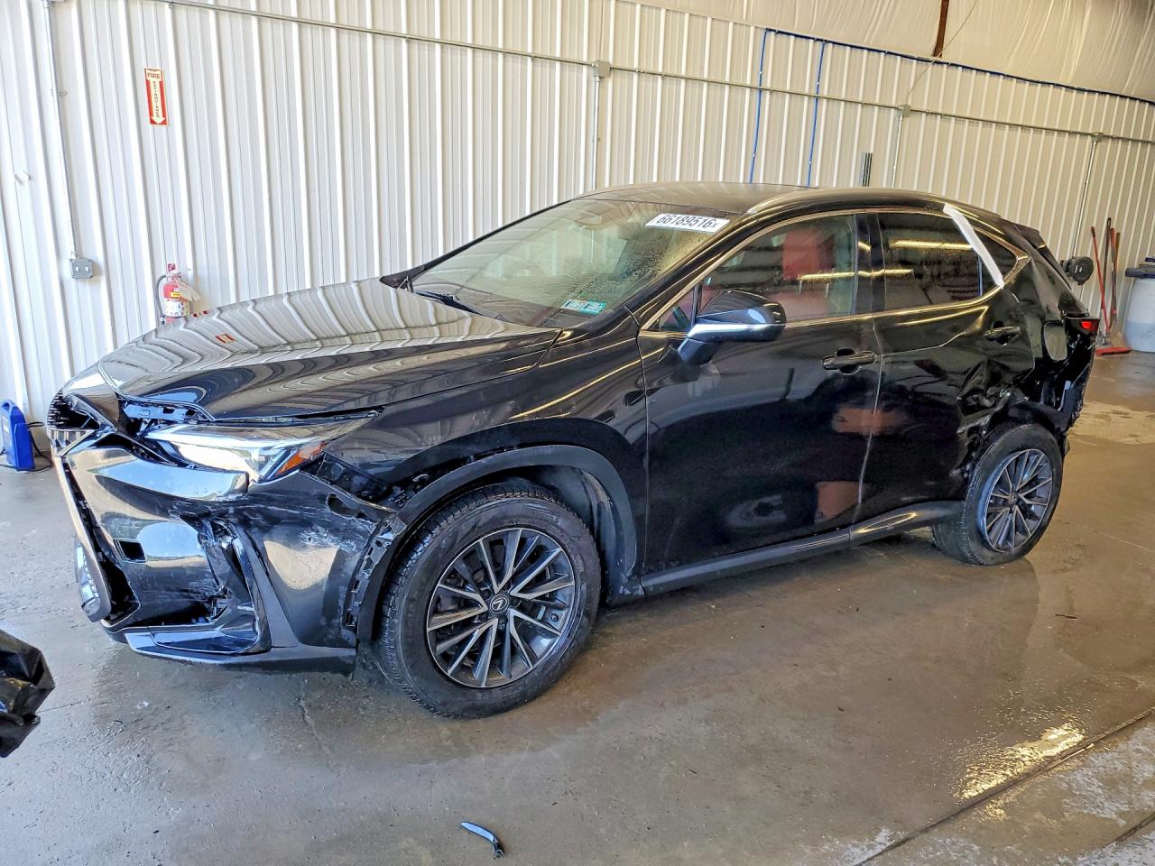 2023 LEXUS NX