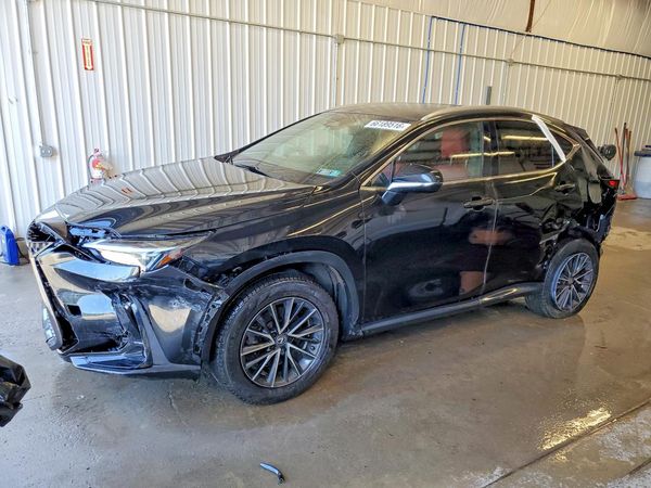 2023 LEXUS NX