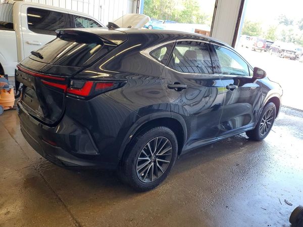 2023 LEXUS NX