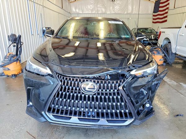 2023 LEXUS NX