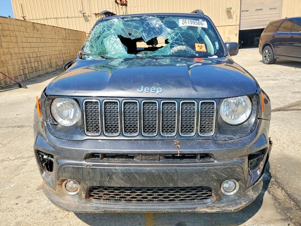2019 JEEP RENEGADE — DIRF