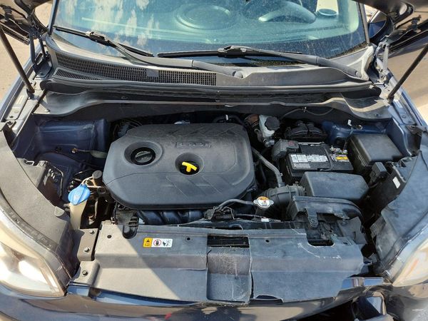 2019 KIA CARNIVAL LX GLS(PLUS)