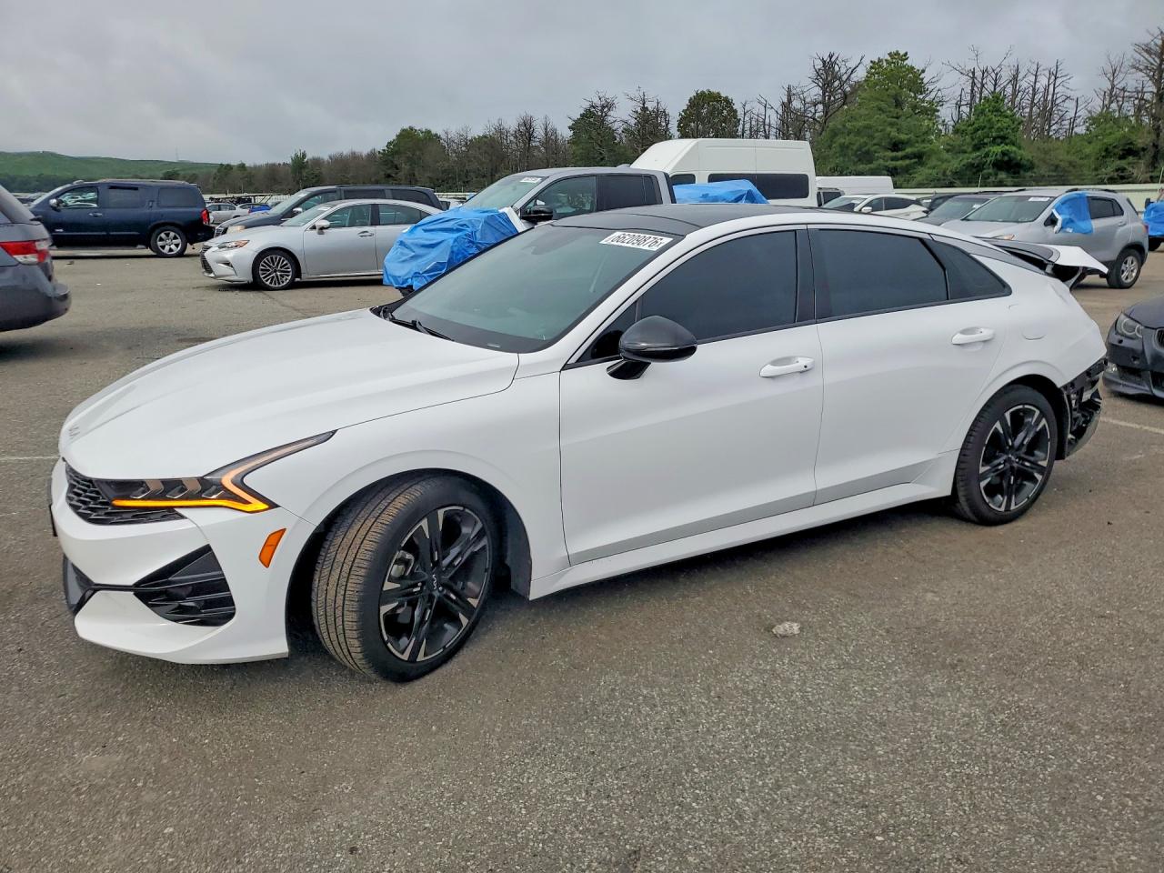 2022 KIA K5