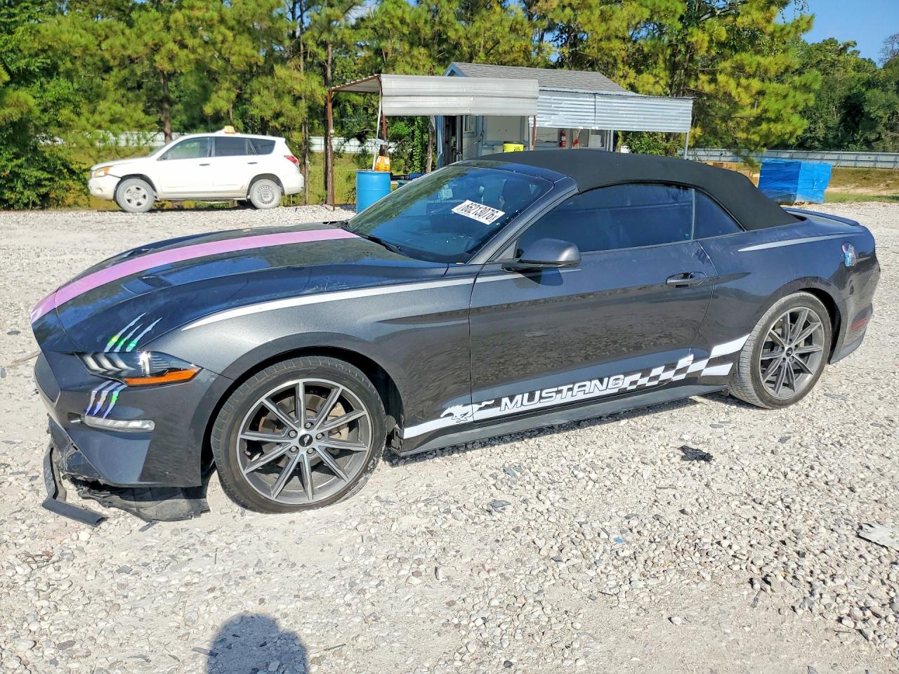 2019 FORD MUSTANG