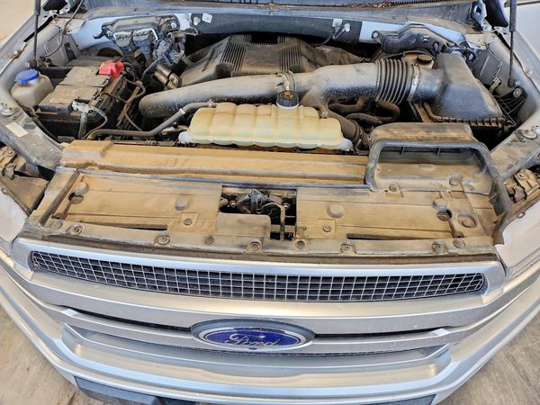 2019 FORD F150