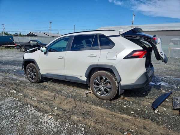 2025 TOYOTA RAV 4