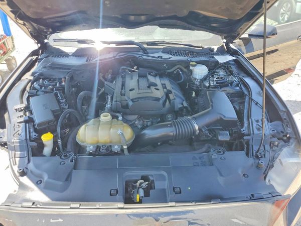 2019 FORD MUSTANG I4 Coupe