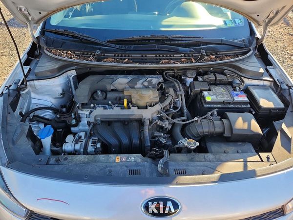 2020 KIA RIO