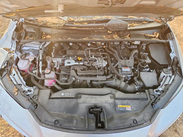 2024 TOYOTA PRIUS