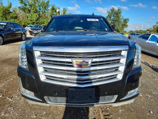 2019 CADILLAC ESCALADE ESV Platinum — DIRF