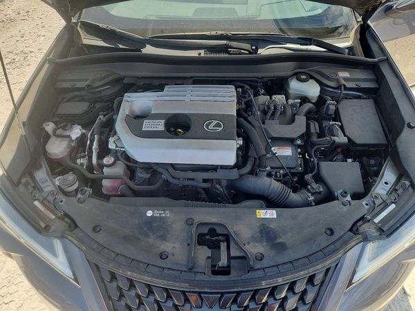 2020 LEXUS UX 250h Premium