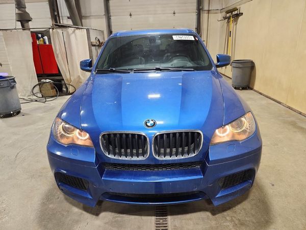 2012 BMW X5 X5 M — DIRF