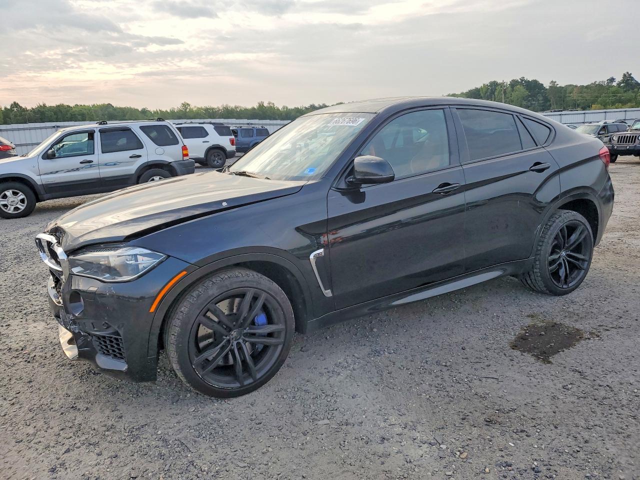 2017 BMW X6 X6 M